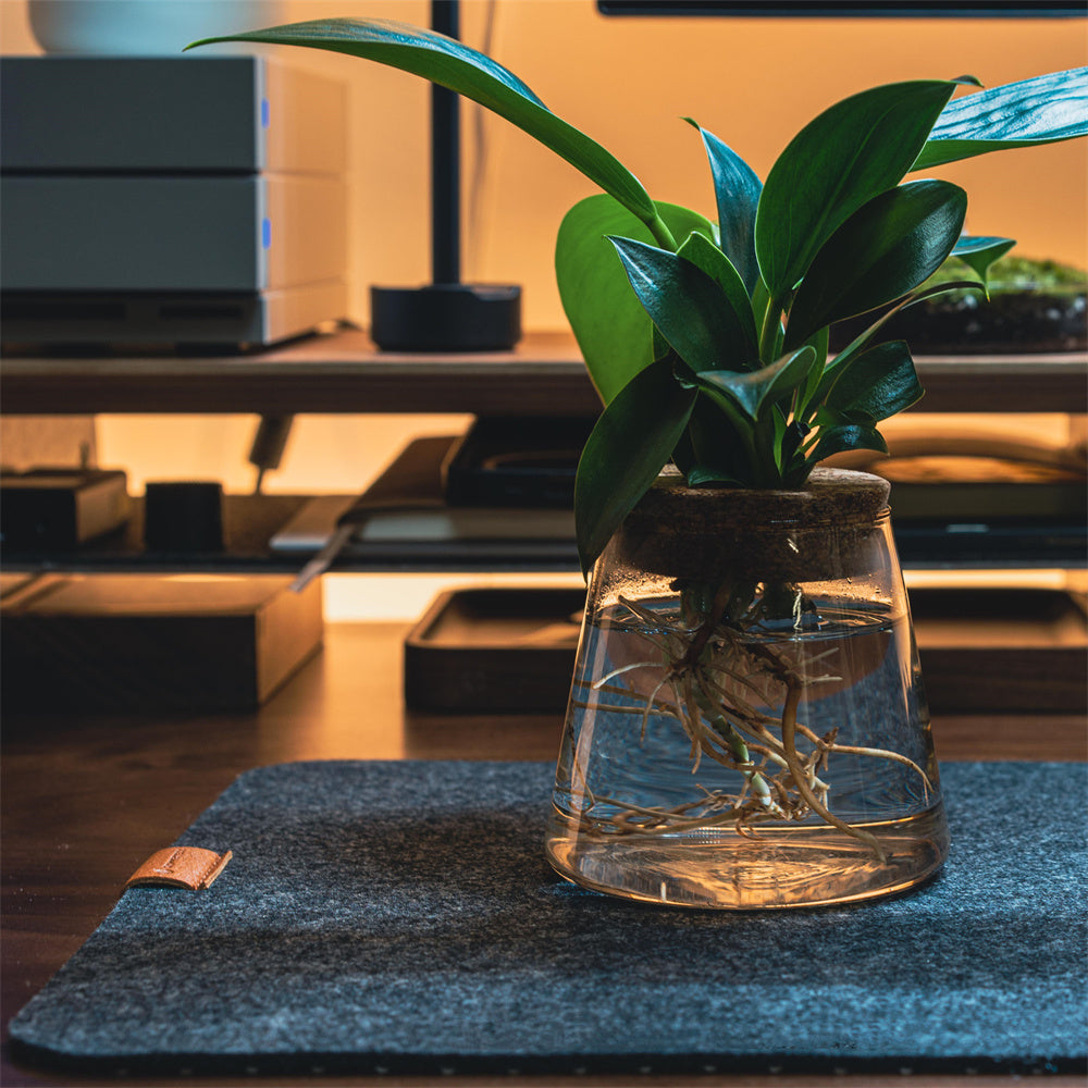 Simple Office Felt Desk Mouse Pad